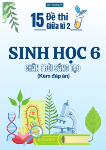 Tuyển tập 15 Đề thi giữa Kì 2 môn Sinh Học 6 sách Chân Trời Sáng Tạo (Kèm đáp án)